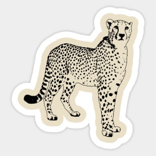 Cheetah Sticker